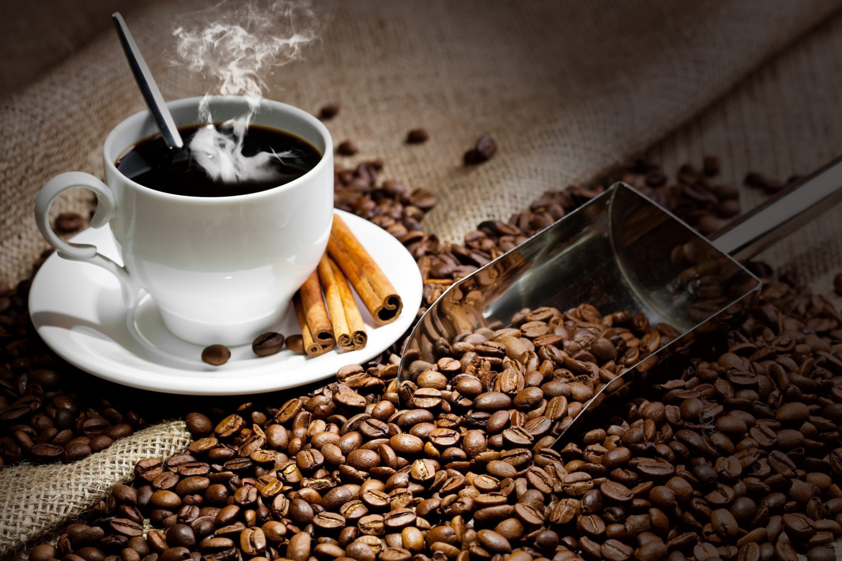 Screenshot №1 pro téma Cup Of Hot Coffee And Cinnamon Sticks 2880x1920