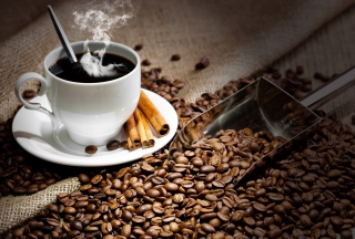 Cup Of Hot Coffee And Cinnamon Sticks - Obrázkek zdarma pro Widescreen Desktop PC 1440x900