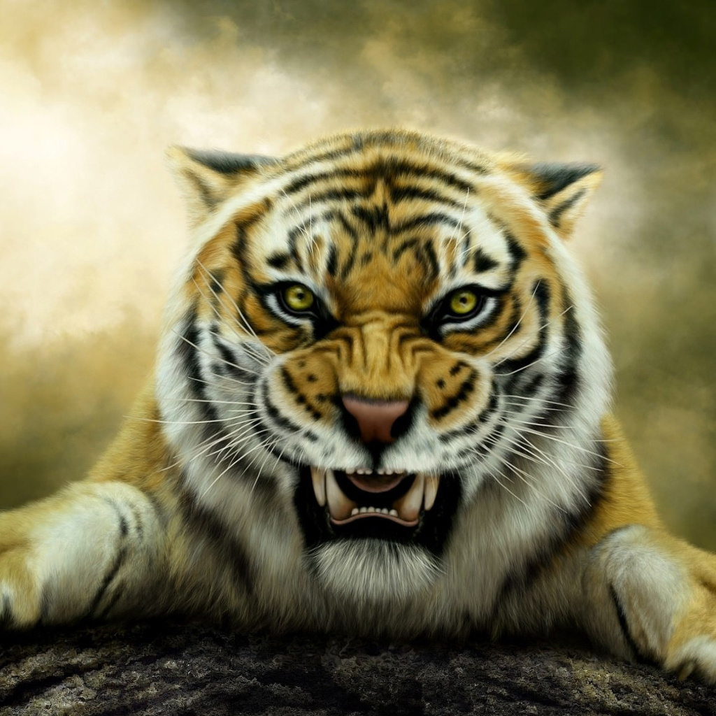 Angry Tiger HD wallpaper 1024x1024