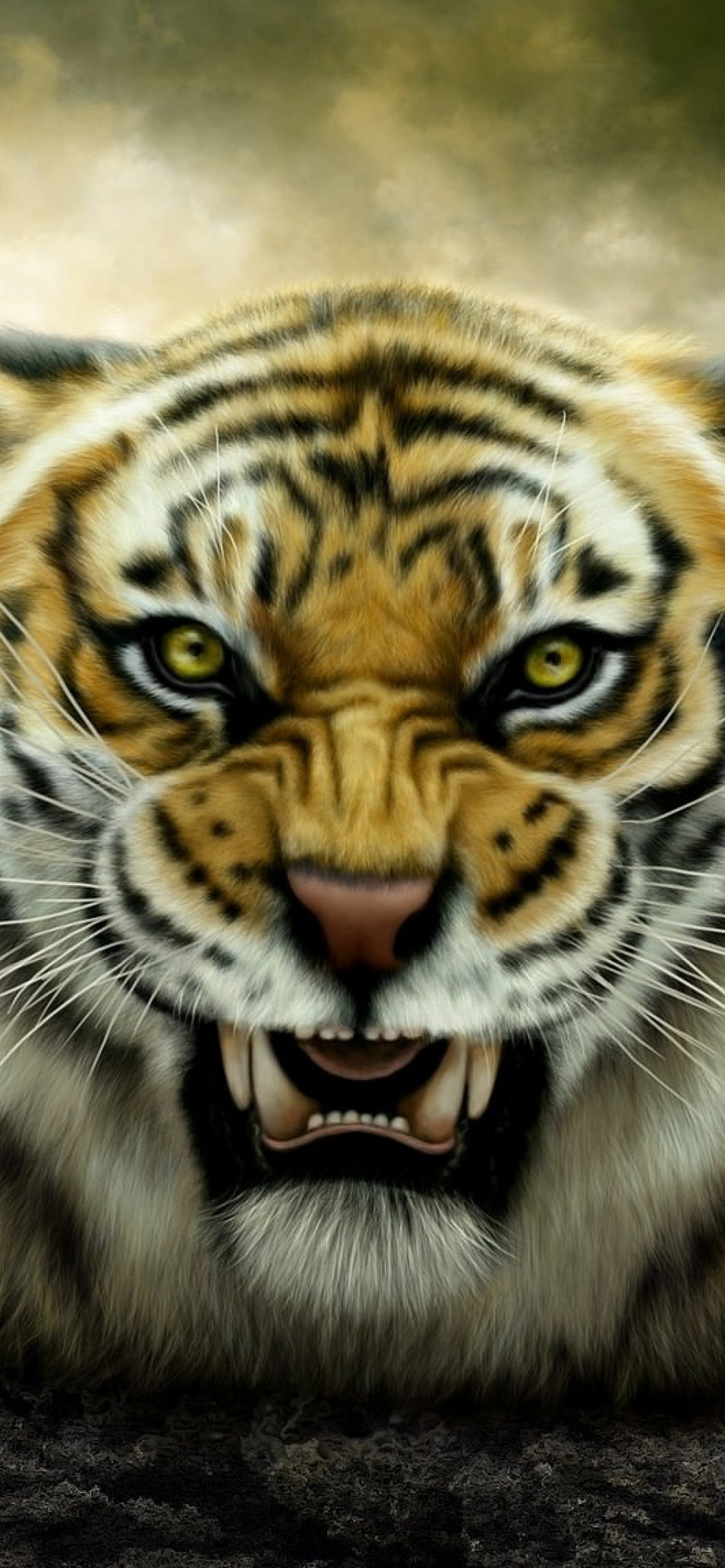 Angry Tiger HD wallpaper 1170x2532