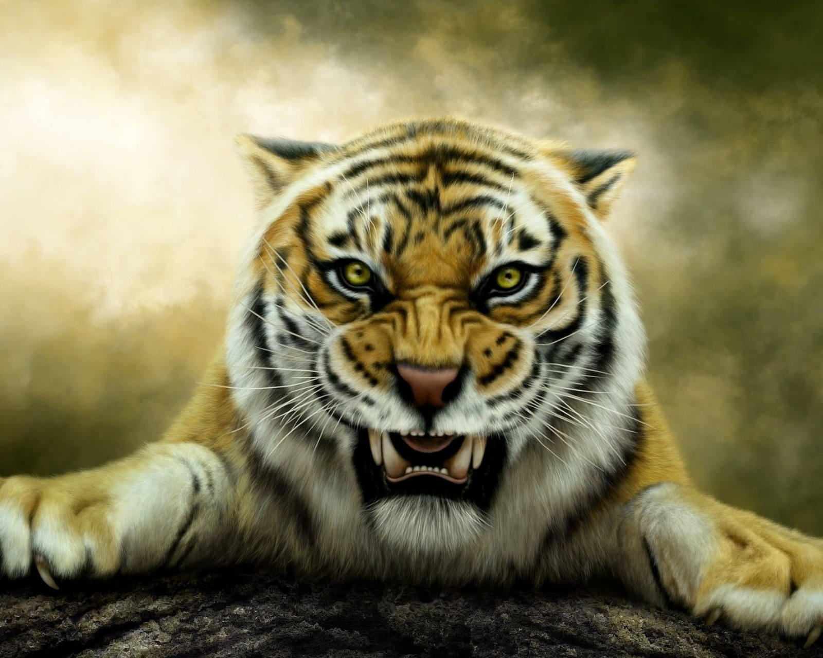 Angry Tiger HD wallpaper 1600x1280