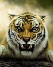 Angry Tiger HD wallpaper 176x220