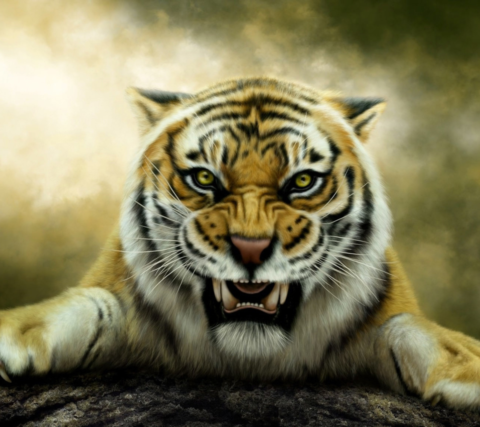 Sfondi Angry Tiger HD 960x854