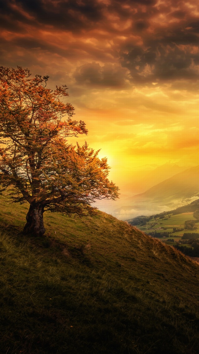 Обои Switzerland Autumn Scenery 640x1136