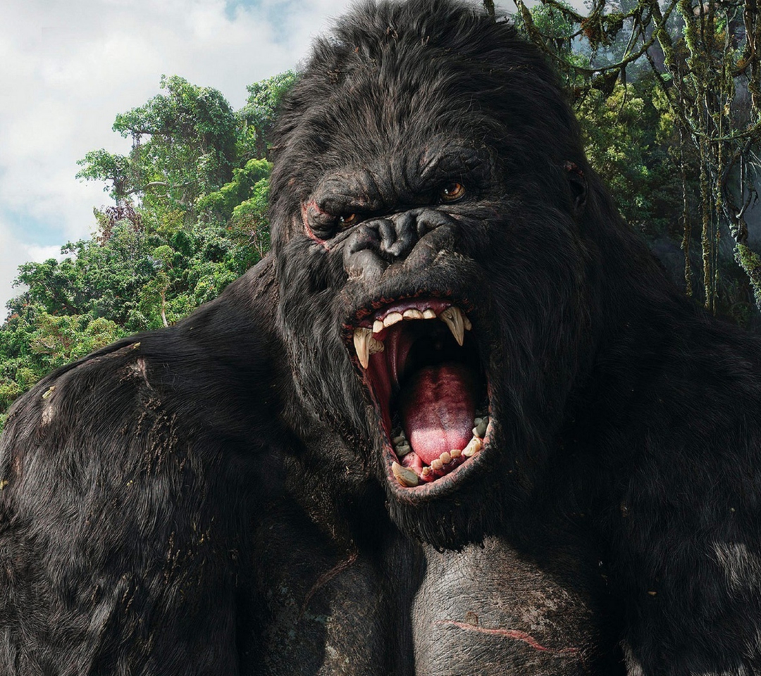 King Kong wallpaper 1080x960
