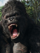 Screenshot №1 pro téma King Kong 132x176