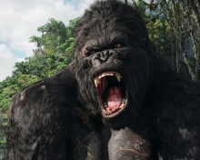 Fondo de pantalla King Kong 220x176