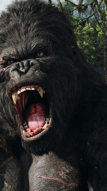 Sfondi King Kong 360x640