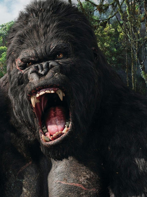 King Kong screenshot #1 480x640