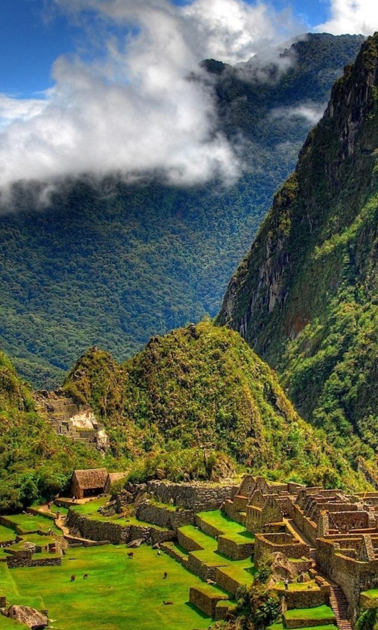 Обои Machu Picchu In Peru 768x1280