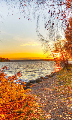 Screenshot №1 pro téma Autumn Trees By River 240x400