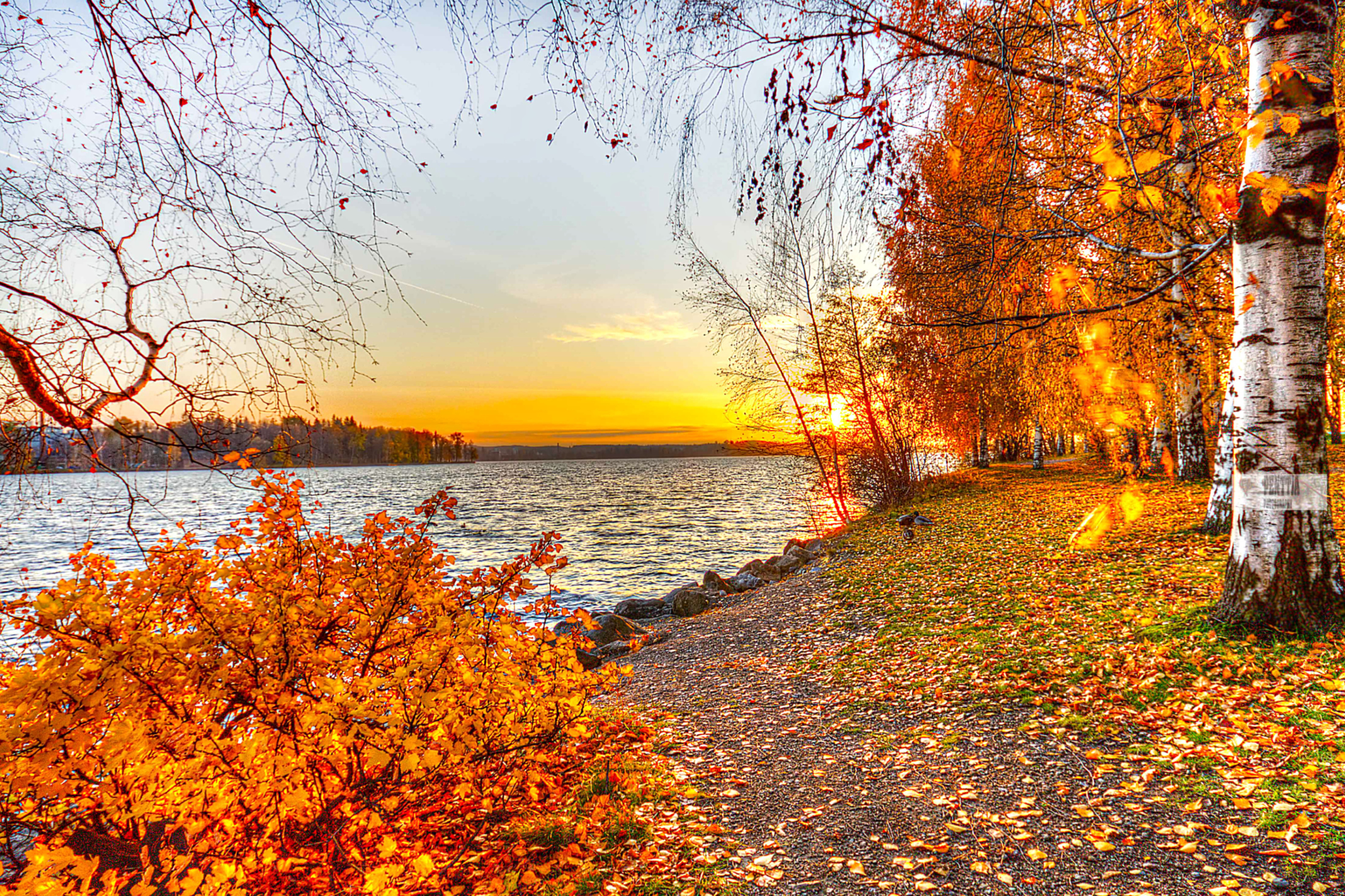 Autumn Trees By River wallpaper 2880x1920