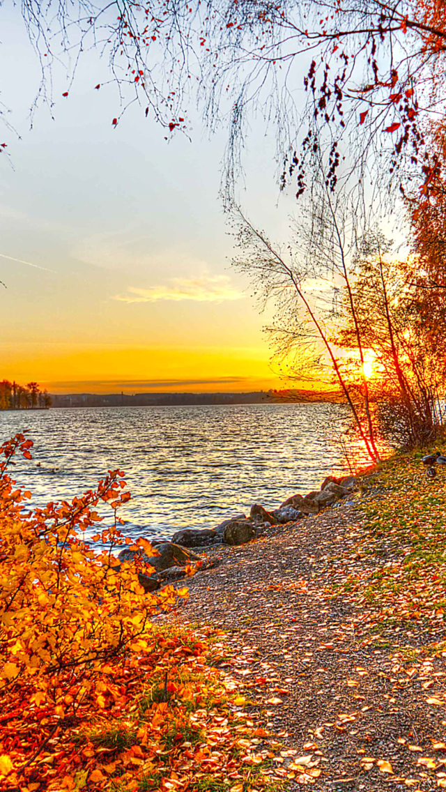 Обои Autumn Trees By River 640x1136