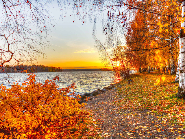 Screenshot №1 pro téma Autumn Trees By River 640x480