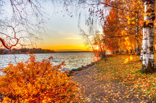 Kostenloses Autumn Trees By River Wallpaper für Fullscreen Desktop 1600x1200