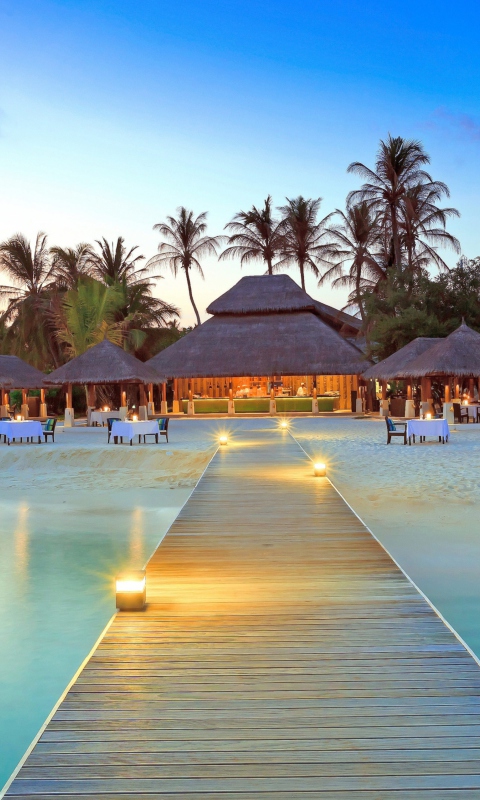 Screenshot №1 pro téma Maldive Islands Resort 480x800