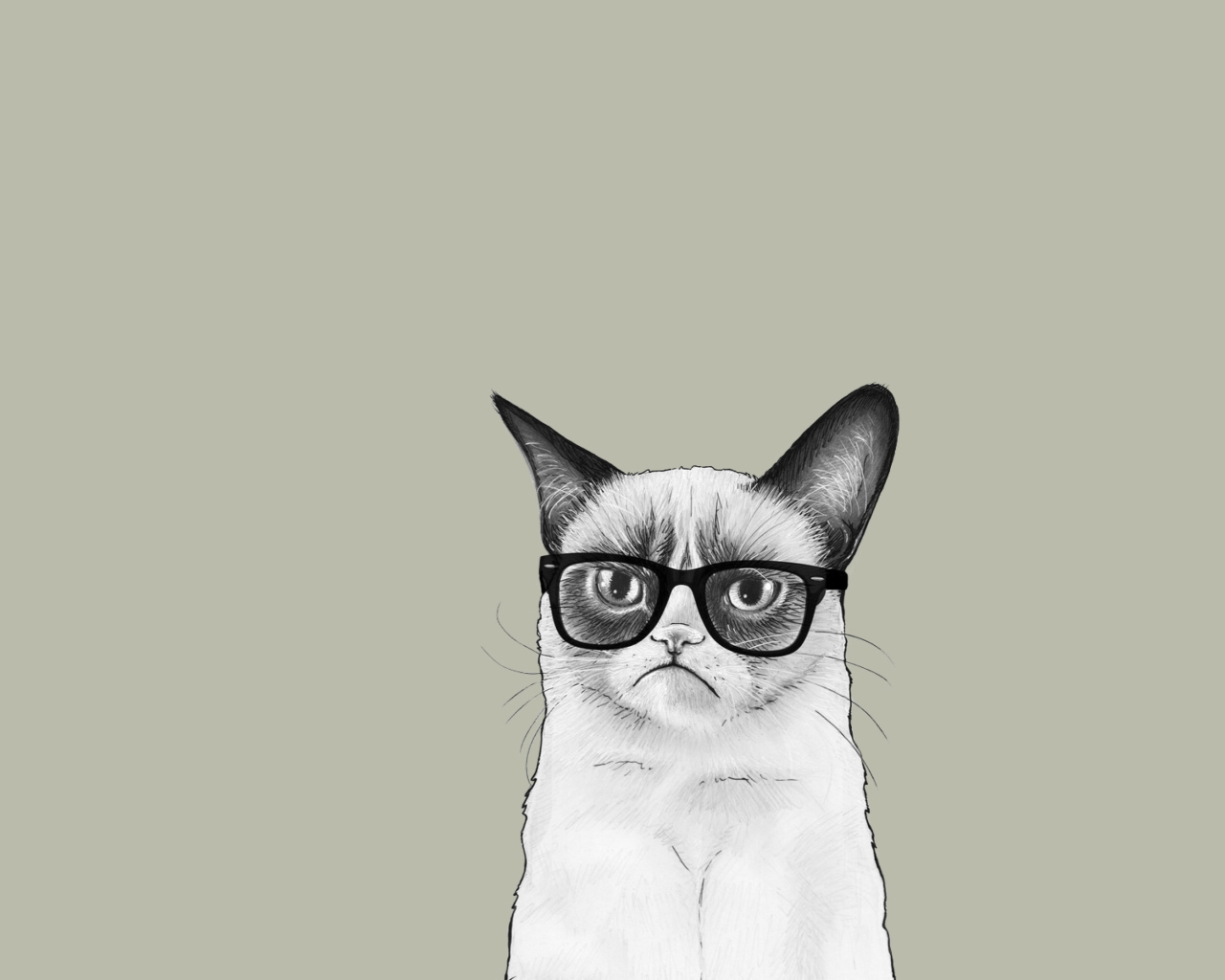Das Grumpy Cat Wallpaper 1280x1024