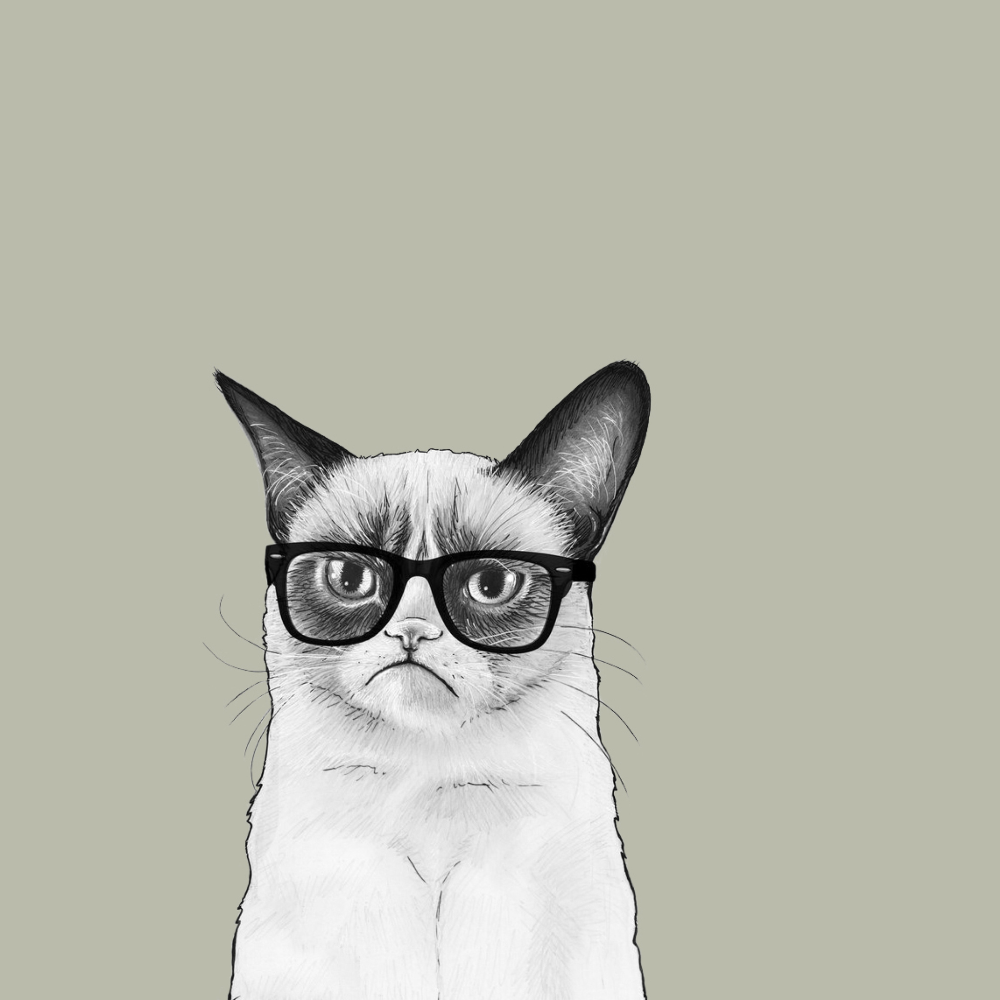 Grumpy Cat wallpaper 2048x2048
