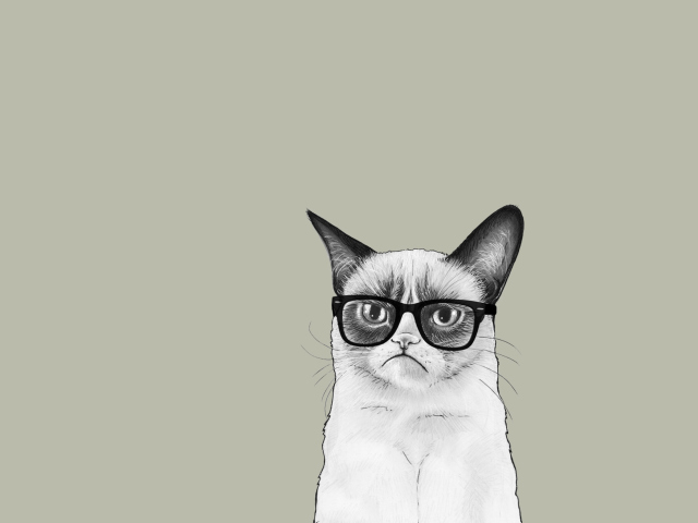 Das Grumpy Cat Wallpaper 640x480