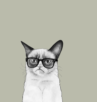 Grumpy Cat - Obrázkek zdarma pro iPad 2
