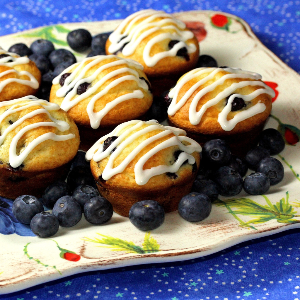 Das Blueberry Muffins Wallpaper 1024x1024