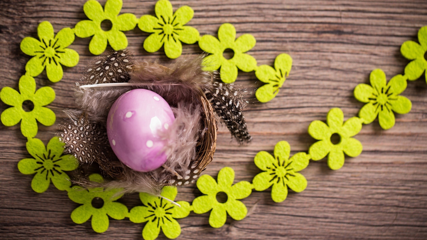 Purple Egg, Feathers And Green Flowers wallpaper 1366x768