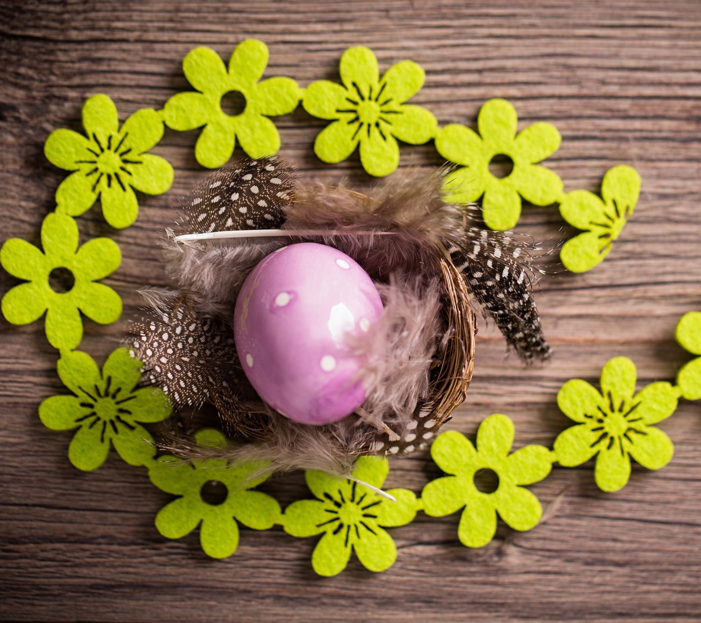 Обои Purple Egg, Feathers And Green Flowers 1440x1280