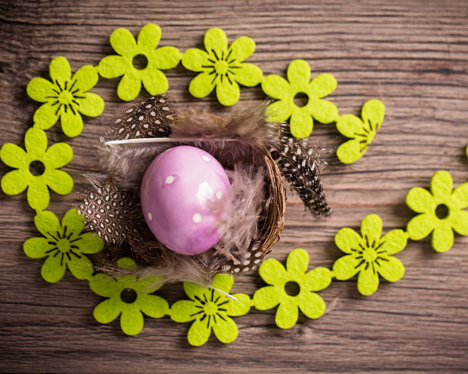 Purple Egg, Feathers And Green Flowers wallpaper 1600x1280