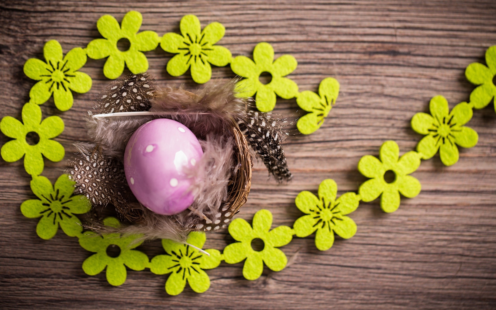 Purple Egg, Feathers And Green Flowers wallpaper 1680x1050