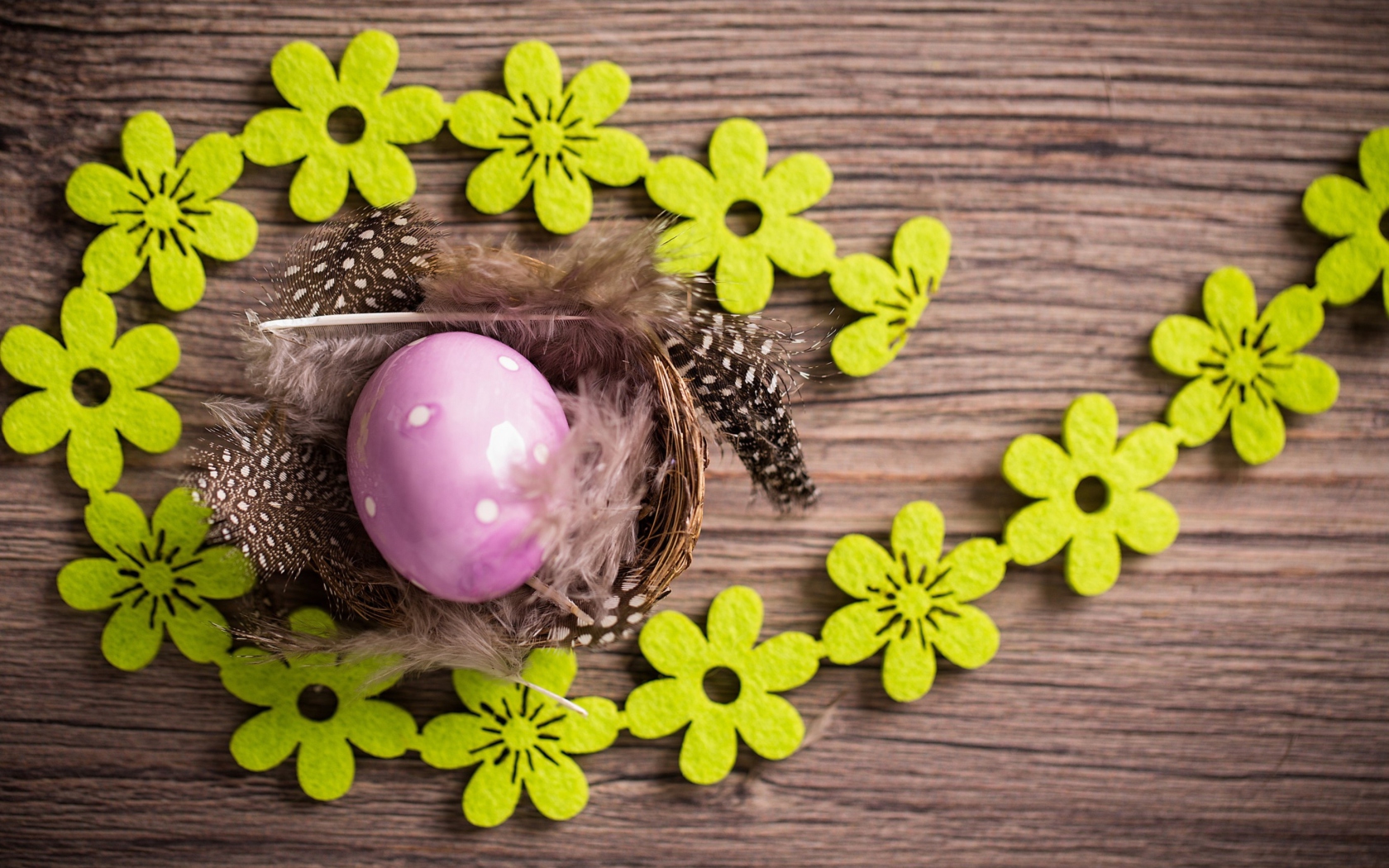 Обои Purple Egg, Feathers And Green Flowers 1680x1050