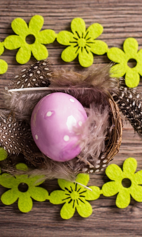 Screenshot №1 pro téma Purple Egg, Feathers And Green Flowers 480x800