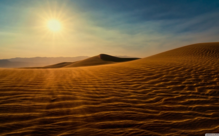 Das Desert Sun Wallpaper