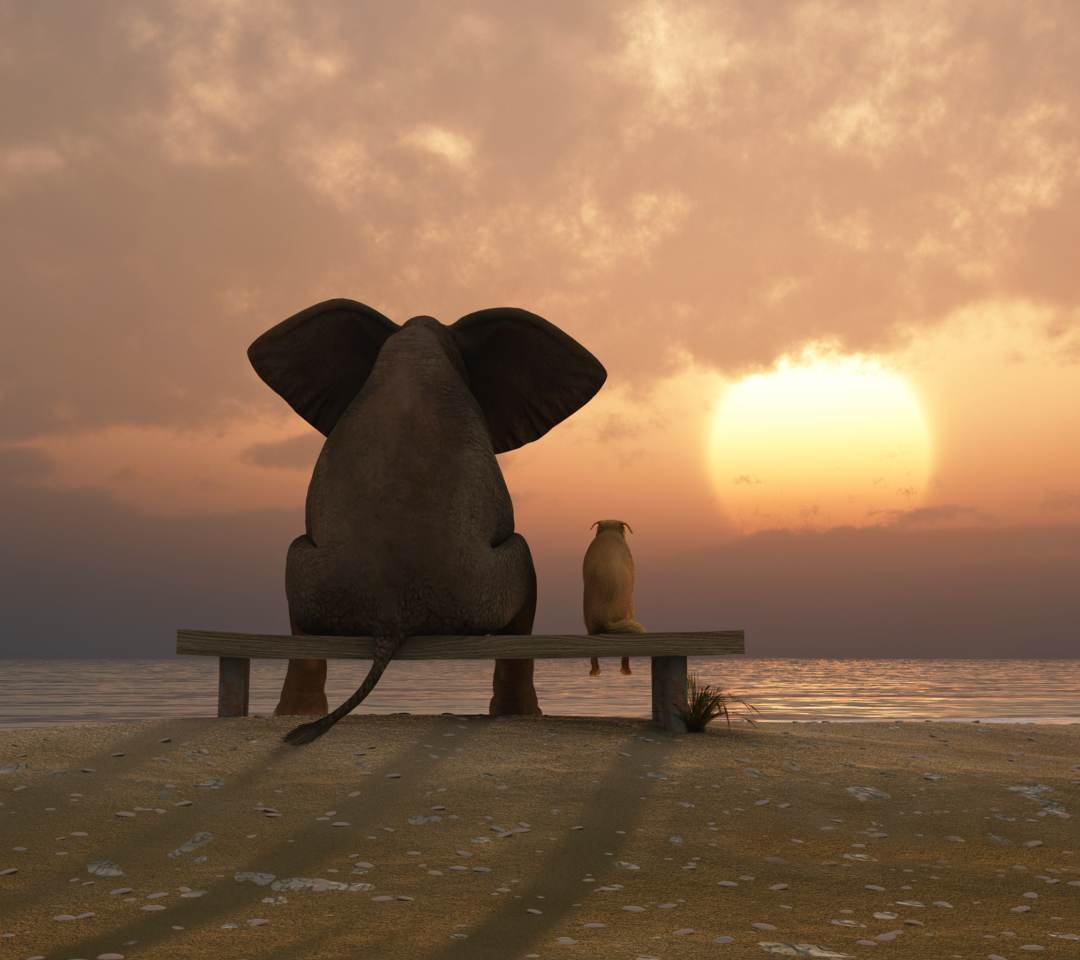 Fondo de pantalla Elephant And Dog Looking At Sunset 1080x960