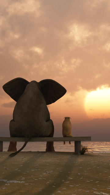 Elephant And Dog Looking At Sunset wallpaper 360x640