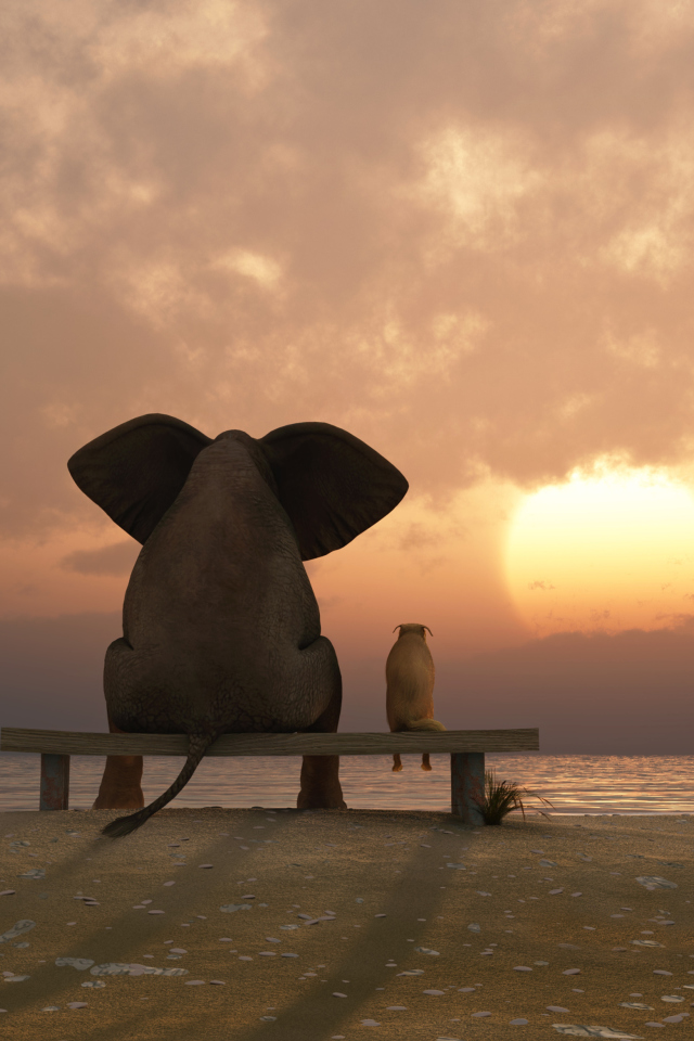 Elephant And Dog Looking At Sunset wallpaper 640x960
