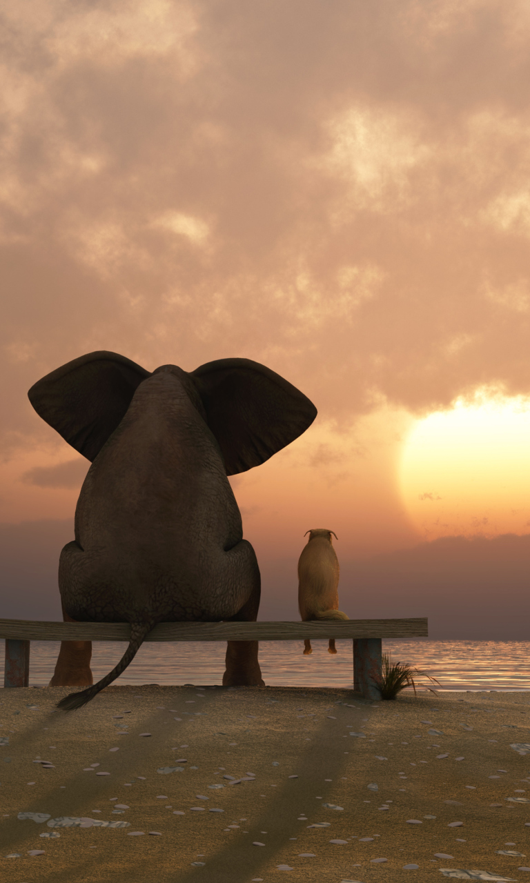 Elephant And Dog Looking At Sunset wallpaper 768x1280