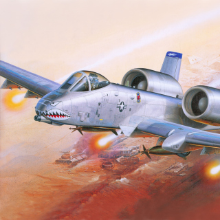 Fairchild Republic A 10 Thunderbolt II - Obrázkek zdarma pro 2048x2048