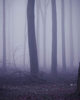 Violet Fog In Forest - Obrázkek zdarma pro Nokia X2