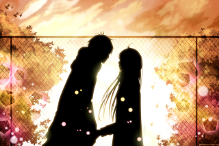 Kimi Ni Todoke - Obrázkek zdarma pro 1440x1280