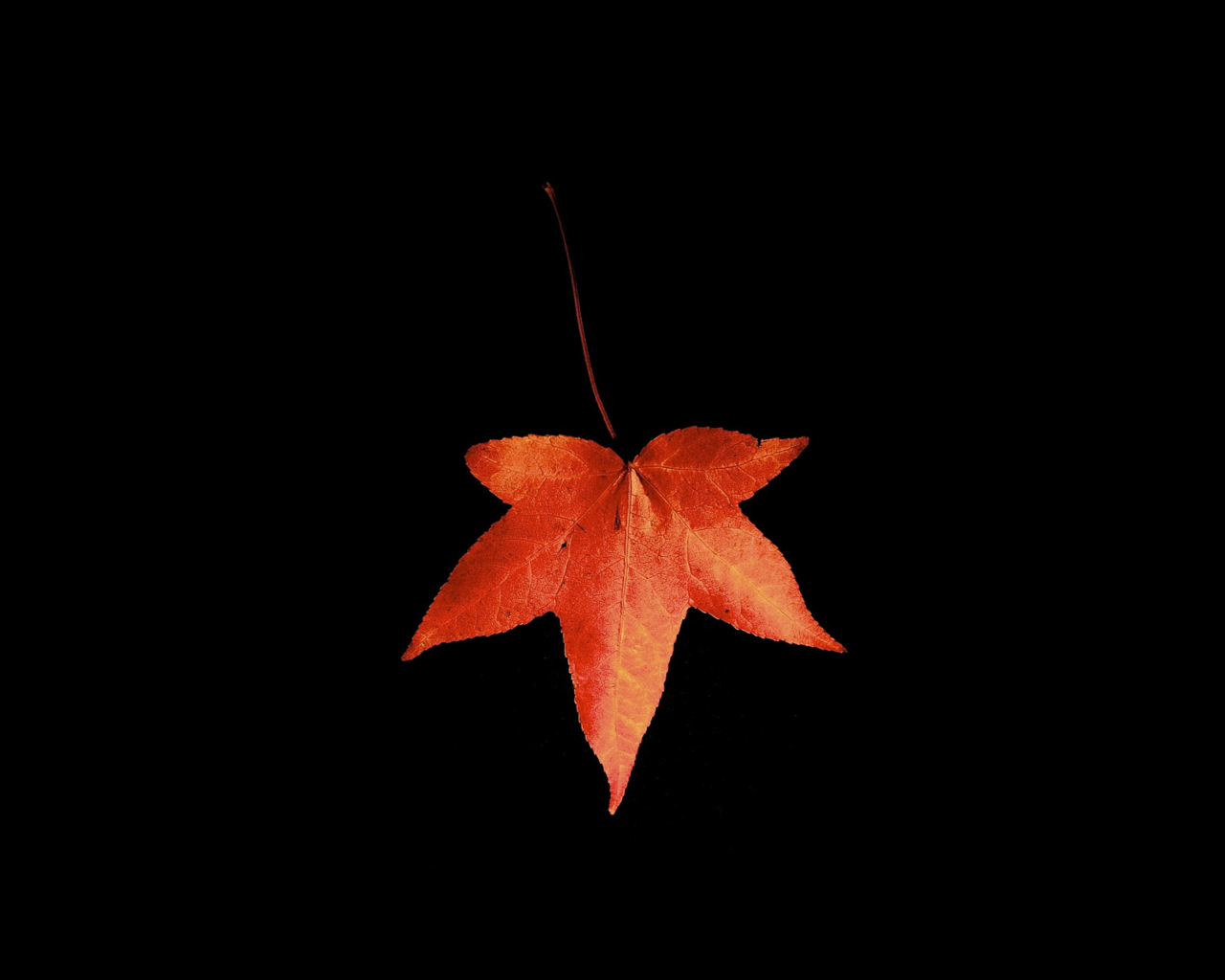 Screenshot №1 pro téma Red Autumn Leaf 1280x1024