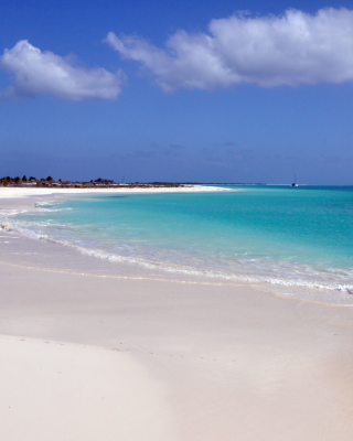 Caribbean Landscape - Obrázkek zdarma pro iPhone 5