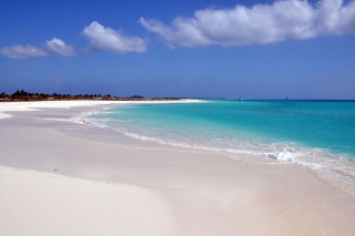 Caribbean Landscape - Obrázkek zdarma 