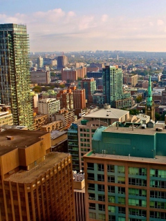 Fondo de pantalla Toronto Cityscape 240x320