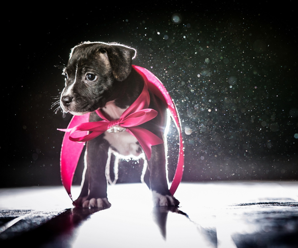 Screenshot №1 pro téma Cute Puppy In Pink Cloak 960x800