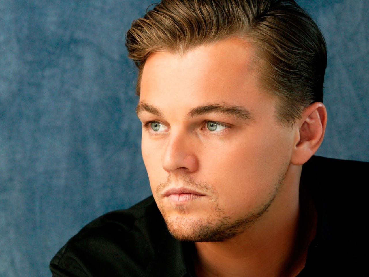 Screenshot №1 pro téma Leonardo DiCaprio 1280x960