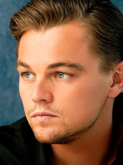 Screenshot №1 pro téma Leonardo DiCaprio 480x640