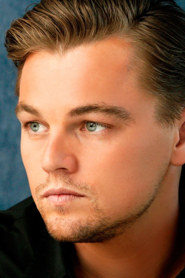 Screenshot №1 pro téma Leonardo DiCaprio 640x960