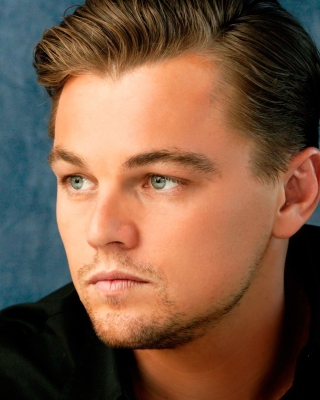 Leonardo DiCaprio - Obrázkek zdarma pro 240x400