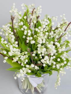 Screenshot №1 pro téma Lily Of The Valley Bouquet 240x320