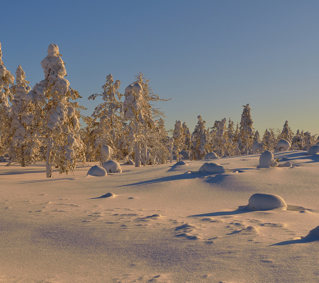 Thaw in Winter Morning screenshot #1 1080x960